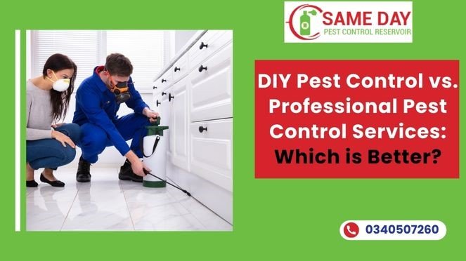 DIY Pest Control vs. Professional Pest Control Services: Which is Better?